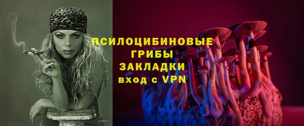 прущие крисы Балахна