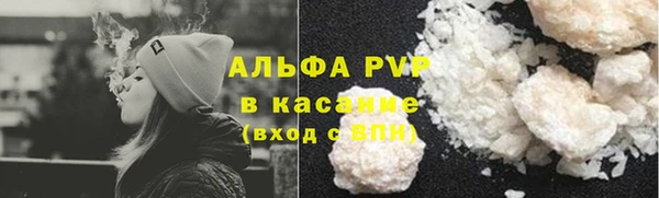 прущие крисы Балахна