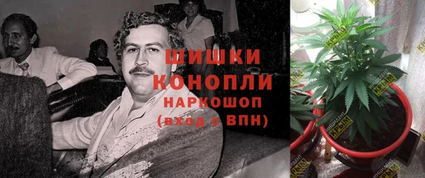 прущие крисы Балахна