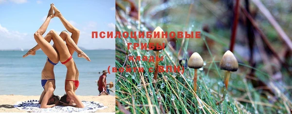 сатива Балабаново