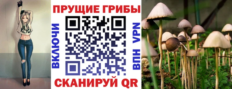 наркотики  Сосновый Бор  Галлюциногенные грибы GOLDEN TEACHER 